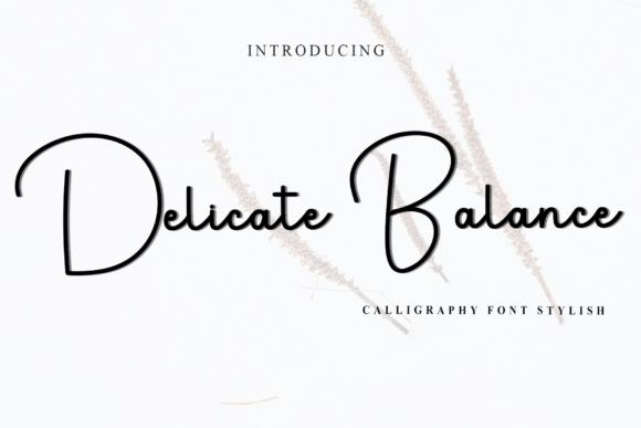 Delicate Balance: A Font That Brings Clarity to Campaign Design