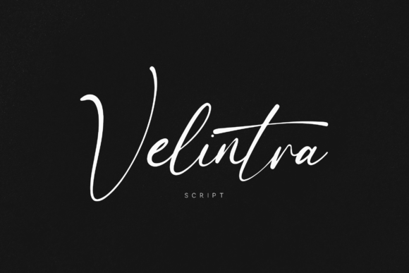 Discovering Velintra: A Script Font Built for Modern Websites