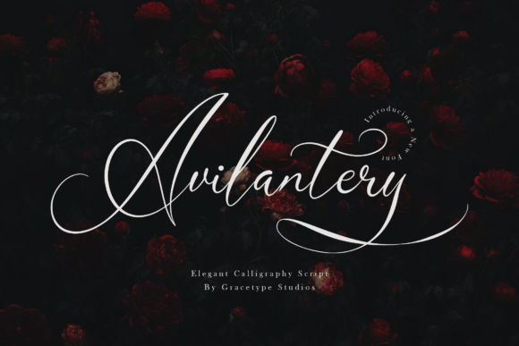 Elevate Your Brand with the Avilantery Calligraphy Font